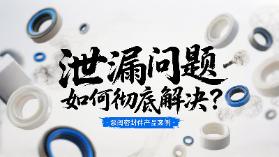 泵閥密封圈泄漏問題：如何徹底解決？