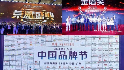 東晟密封件閃耀2024第十八屆中國品牌節(jié)，榮獲密封技術(shù)“金譜獎”
