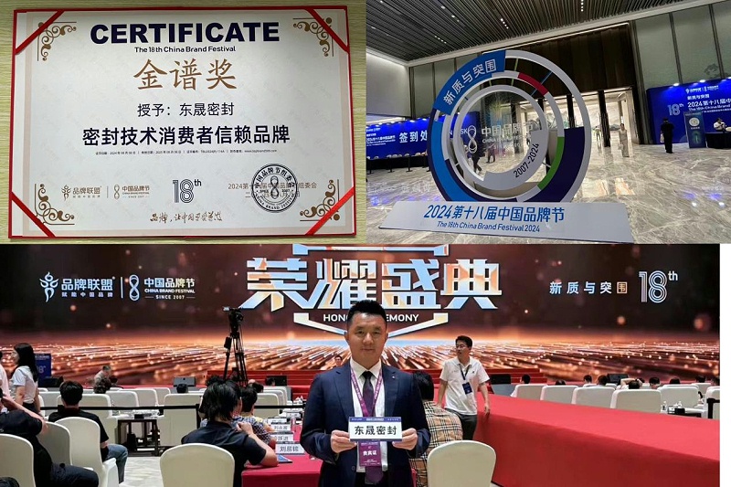 3東晟密封件閃耀2024第十八屆中國品牌節(jié)，榮獲密封技術(shù)“金譜獎”