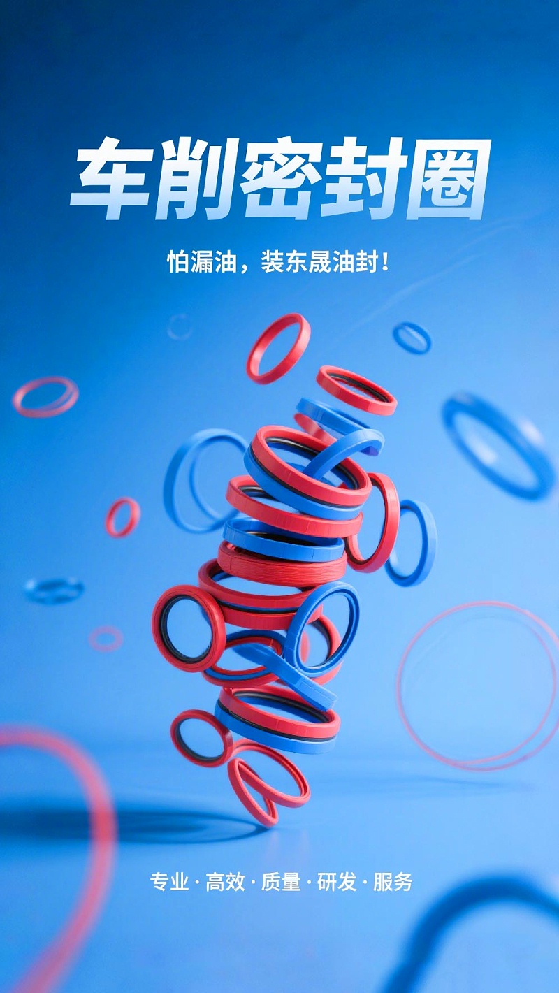 車削密封件 (2)
