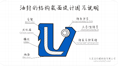 油封的結(jié)構(gòu)截面設(shè)計(jì)圖及說(shuō)明1