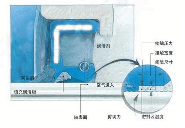 油封（密封件密封圈）密封唇口與旋轉軸表面接觸區(qū)4