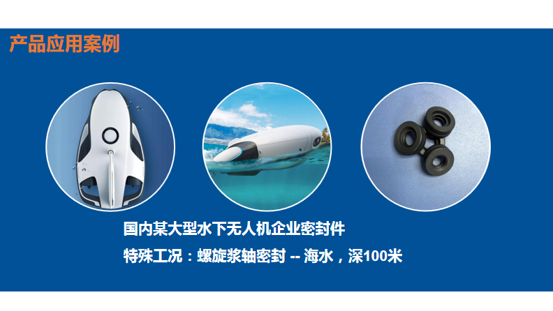 海水密封圈B型油封密封圈應(yīng)用于潛水電機