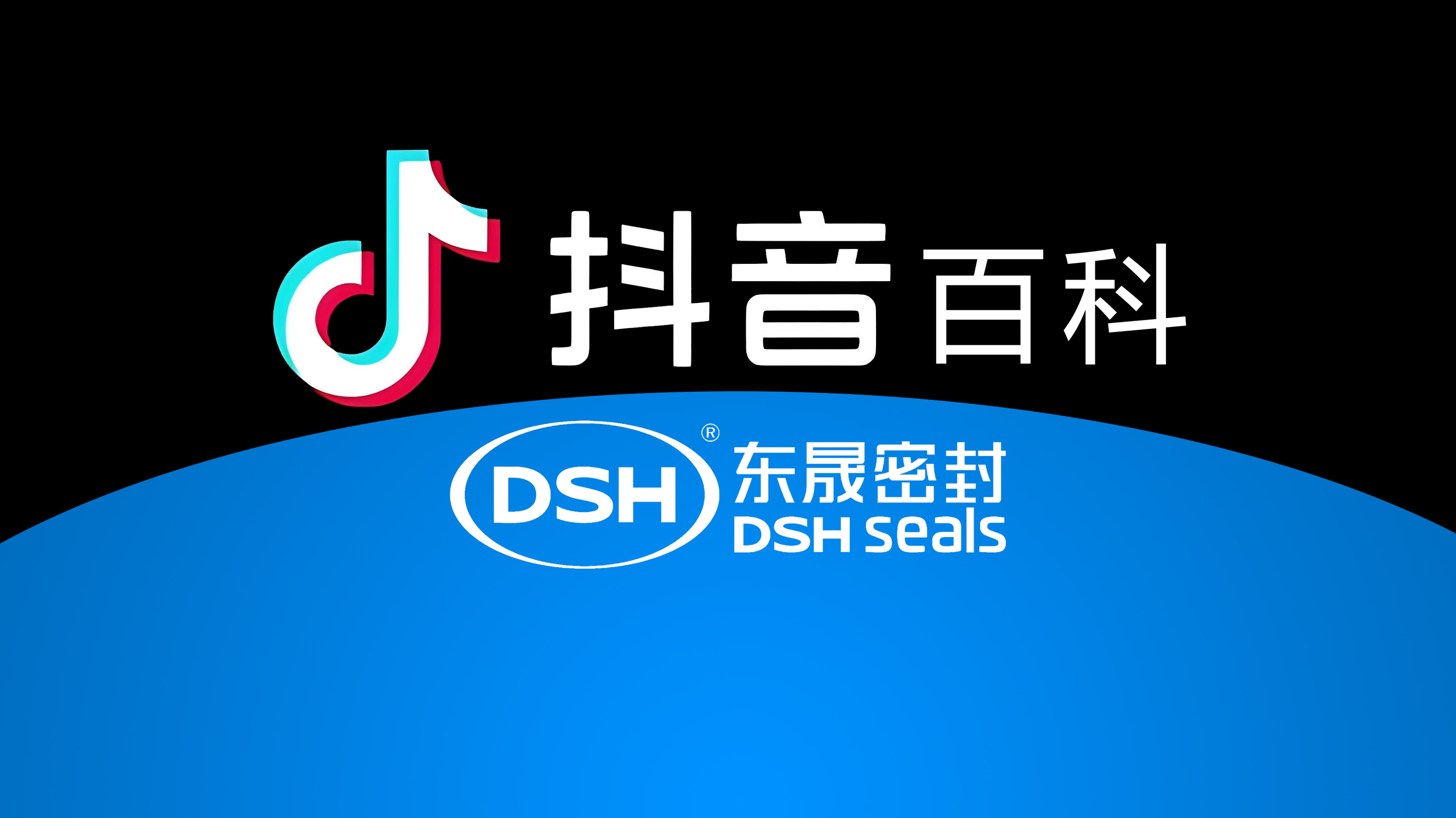 權(quán)威解讀，東晟密封件<i style='color:red'>官方百科</i>閃耀抖音！