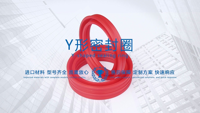 y型密封圈（又Y形密封圈，Y形圈，Y型圖或唇形密封圈，密封件油封膜片） (3)