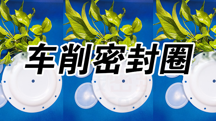 2車削密封圈，氣動(dòng)隔膜泵膜片密封件