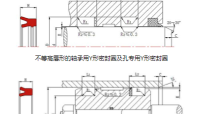 <i style='color:red'>什么是y型密封圈</i>？是不是唇形密封圈呢？