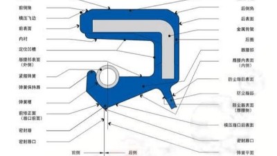 一個內(nèi)包<i style='color:red'>骨架密封</i>圈每個部位的名稱術(shù)語大全！！