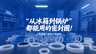 小型四氟泛塞封產(chǎn)品案例丨從冰箱到鍋爐都能用的密封圈！